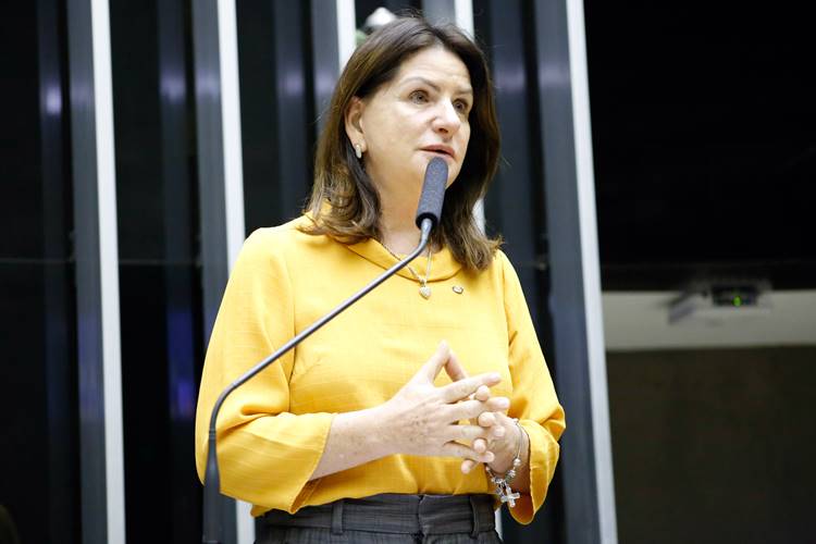 Presidente Sanciona Lei Relatado Por Carmen Zanotto Que Cria Programa